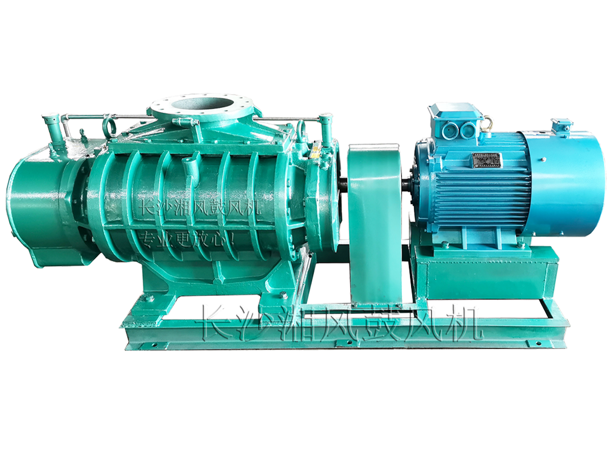 DRE系列兩葉標準型羅茨鼓風機